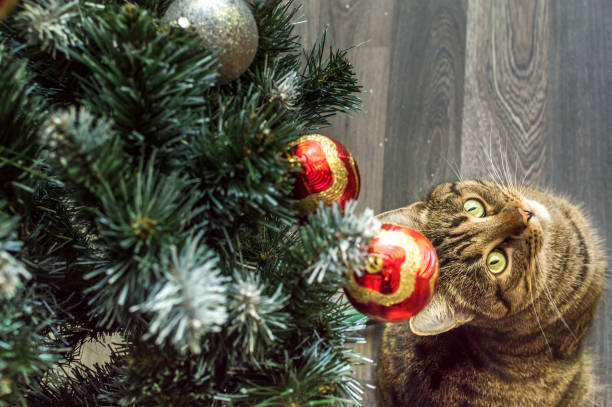 istock Christmas tree and cat sitting under it 1342410792