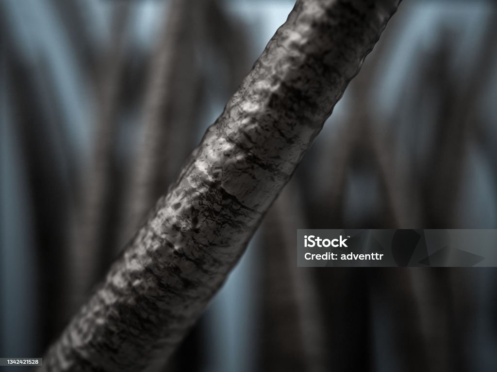 View Of A Single Strand Of Hair Under The Microscope Stock Photo - Download  Image Now - iStock