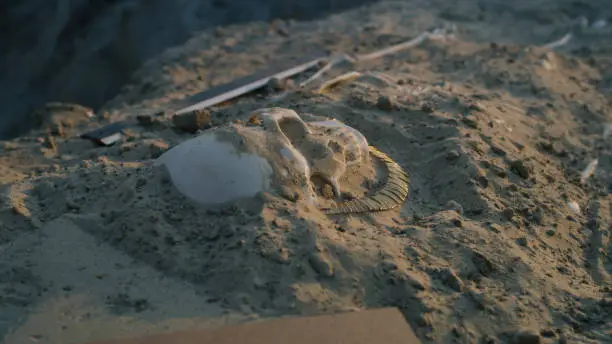 Photo of Human skeleton on digging site