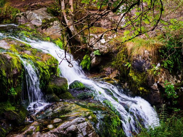 istock Small waterfall in the lake District 1342426150