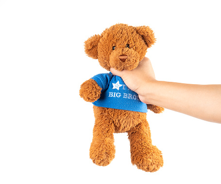 Strangling the teddy bear on white background