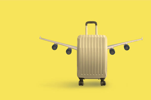 istock Suitcase with airplane wings 1342430564