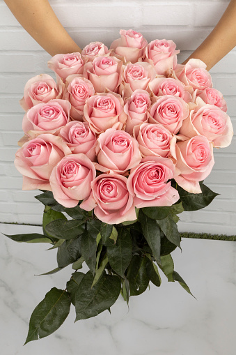 hand of a person holding a large bouquet of pink roses with long stem and leaves on a wooden table, flower arrangement for girlfriend or romantic gifts, nature in studio
