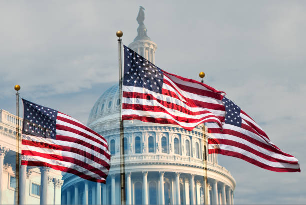 edificio del capitolio banderas americanas - department of homeland security fotografías e imágenes de stock