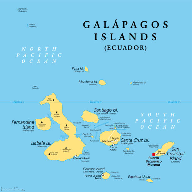 Galapagos Islands, part of Ecuador, political map, an archipelago Galapagos Islands, Ecuador, political map, with capital Puerto Baquerizo Moreno. Archipelago of volcanic islands on either side of equator in Pacific Ocean known for a large number of endemic species. isla san salvador stock illustrations