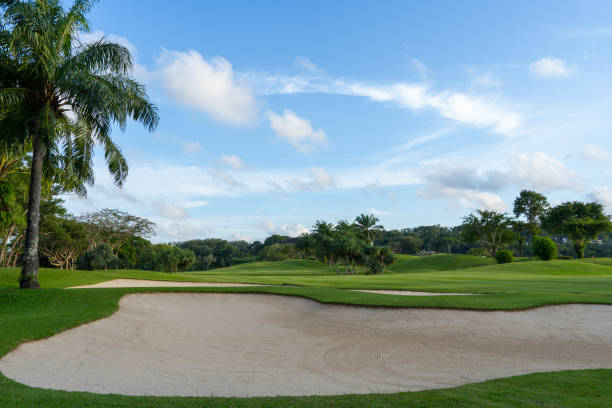 istock The golf course sand obstacles have clear skies and beautiful natural trees 1342437440