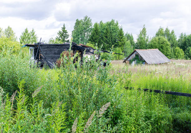 Remains of wooden country house after  conflagration in  abandoned suburban plot