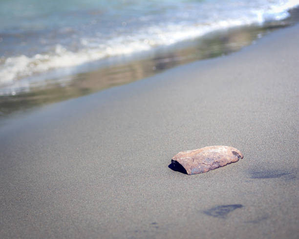 istock a stone on the sand at the coast 1342442350