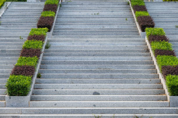 The stone steps in the park are planted with green plants.