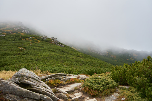 Mountain range in clouds. Fog in the mountains.  Wild nature background