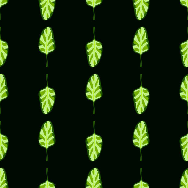 бесшовный узор салат из шпината на черном фоне. минималистичный орнамент с салатом. - backgrounds lettuce agriculture botany stock illustrations