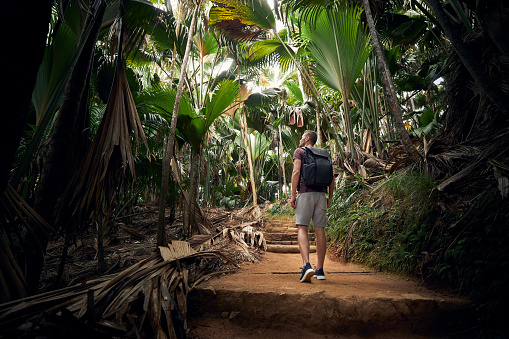 Young man with backpack discovering jungle. Traveler in tropical rainforest in Seychelles.
