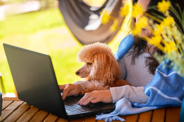 istock Young freelancer woman working at the computer in mountain chalet. 1342453637