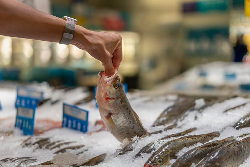 A man picks out sea bass in the seafood section of the supermarket