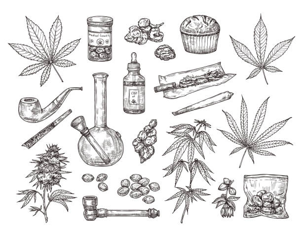 Sketch set of vector drawings of marijuana or cannabis. Plant leaf, pipe, cigarette, buds, seeds and cbd oil. Hand drawn ganja illustration Sketch set of vector drawings of marijuana or cannabis. Plant leaf, pipe, cigarette, buds, seeds and cbd oil. Hand drawn vector ganja illustration. bong stock illustrations