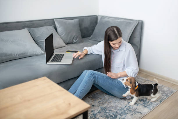 istock A woman working from home, her puppy playing next to her 1342462271