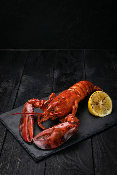 aragosta alla griglia con limone - gourmet food lobster seafood foto e immagini stock