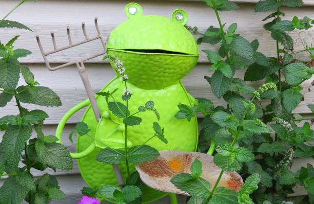 Amusing photo of whimsical kitschy metallic garden decoration. The neon lime green colored frog figure has a slightly open mouth and shiny rhinestone eyes. He is holding an iron rake and a rusty lily pad tray. He is standing amidst plants, specifically mint stalks, leaves and buds.