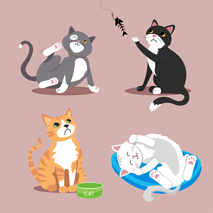 Set of vector illustrations with funny cats.