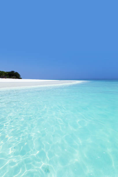 istock Beautiful Maldives nature 1342471259