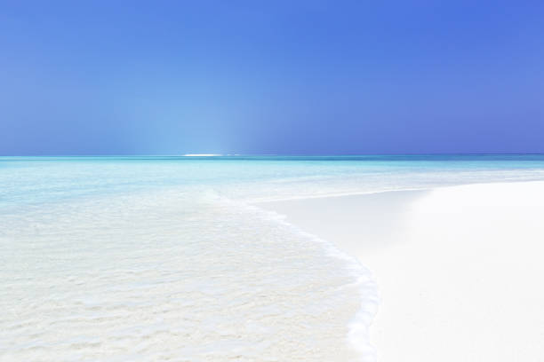 istock Beautiful Maldives nature 1342471290