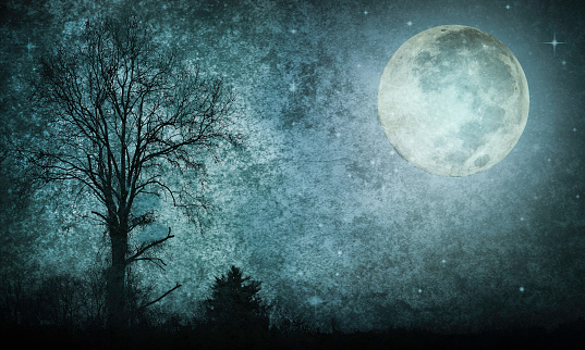 Spooky Night Sky with Full Moon and Tree Silhouette - Atmospheric Mood; Textured Effect. Elements of this image furnished by NASA. - Source:  Supermoon - 201408100002HQ_orig URL: https://www.nasa.gov/sites/default/files/201408100002hq.jpg