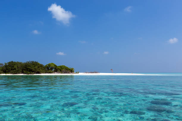 istock Sea with coconut palms island 1342472324
