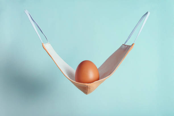istock Cradle Of a New Life 1342476276