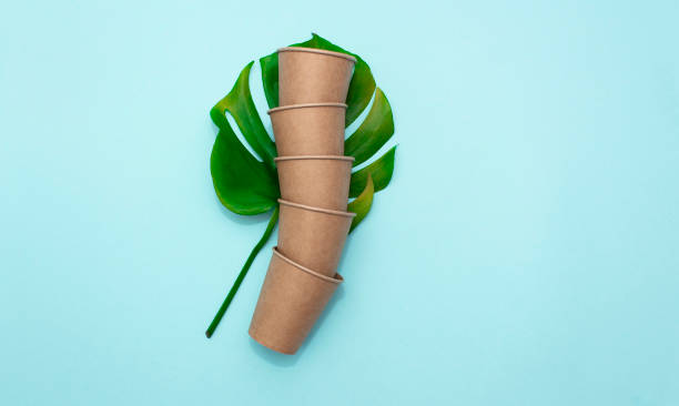 tome xícaras de papel de café na folha verde de monstera. vista superior no fundo azul - 2039 - fotografias e filmes do acervo