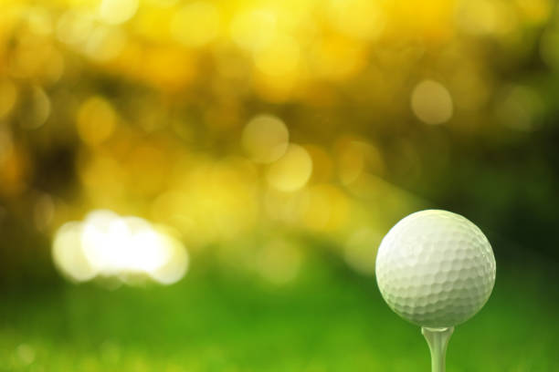 pallina da golf sul tee nel soleggiato parco estivo. spazio per il design - golf foto e immagini stock