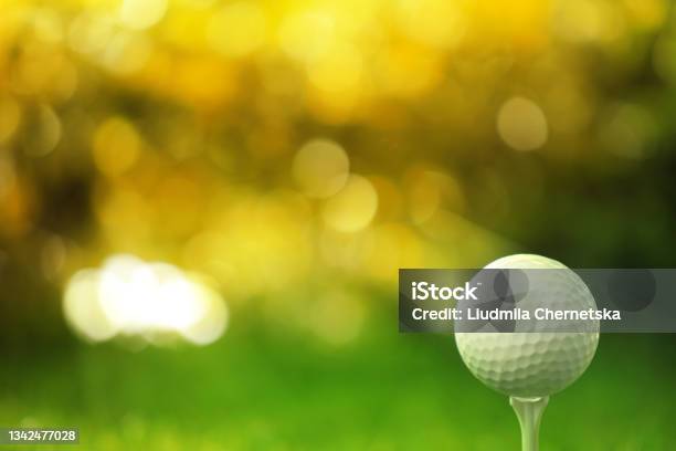 Golf Ball On Tee In Sunny Summer Park Space For Design Stock Photo - Download Image Now