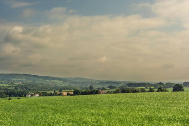 istock Lush hilly landscape with meadows, trees and houses under a cloudy sky. 1342479121