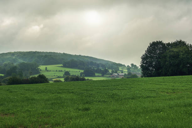 istock Hilly landscape with meadows and trees under a cloudy sky. 1342479124