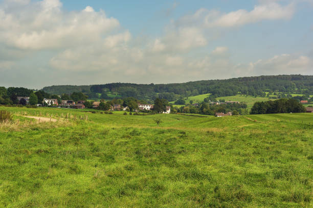 istock Lush hilly landscape with meadows, trees and houses under a cloudy sky. 1342479144