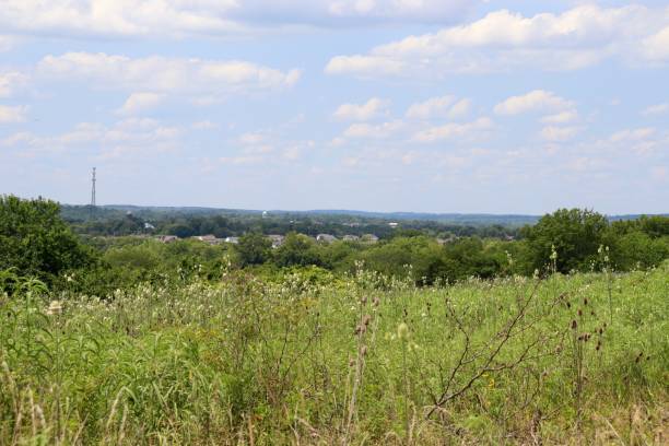 istock Countryside Sky Horizon 1342479490