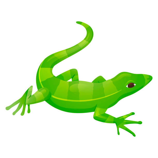 illustrazioni stock, clip art, cartoni animati e icone di tendenza di illustrazione del cartone animato isolato vettoriale del rettile lucertola a strisce verdi. - lizard
