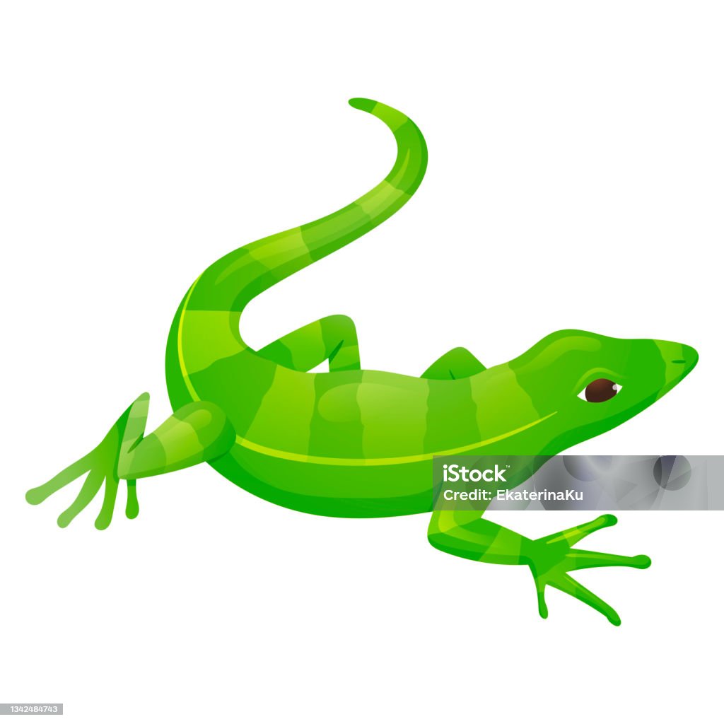 Vector Isolated Cartoon Illustration Of Green Striped Lizard Reptile Stock Illustration - Download Image Now - iStock Vector Isolated Cartoon Illustration Of Green Striped Lizard Reptile Stock Illustration - Download Image Now - iStock