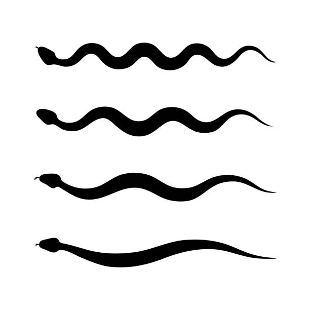 Snake Vector Icon, Viper Symbol, Serpent Sign Snake vector icon collection. Viper symbol, serpent sign, anaconda simple silhouette isolated on white background snake stock illustrations