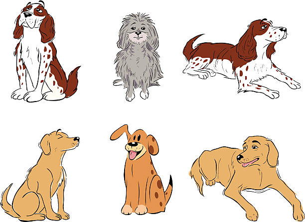 Cani collezione - illustrazione arte vettoriale