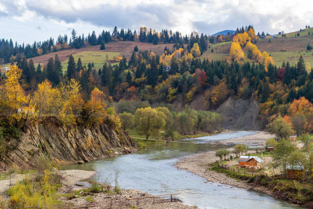 istock The mountain river flows in the autumn colored valley. 1342489882