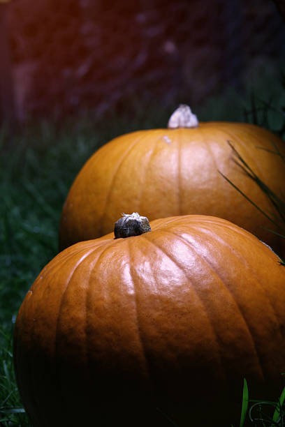 istock halloween pumpkins in moon light 134249068