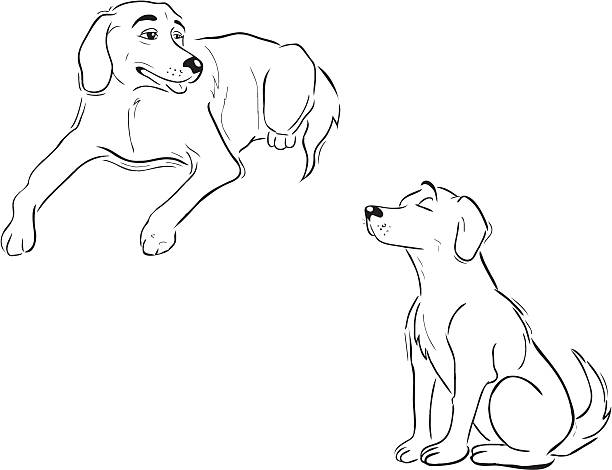 Labrador cães contorno - ilustração de arte em vetor