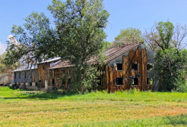 istock Old Uninhabitable Wooden Multi Story Building 1342493217