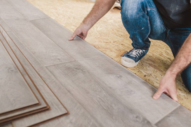 istock Caucasian master professionally lay laminate 1342493355