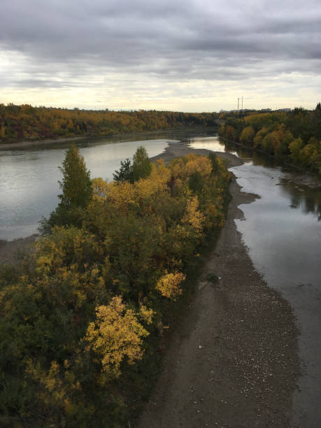 patrząc w dół rzeki - north saskatchewan river zdjęcia i obrazy z banku zdjęć