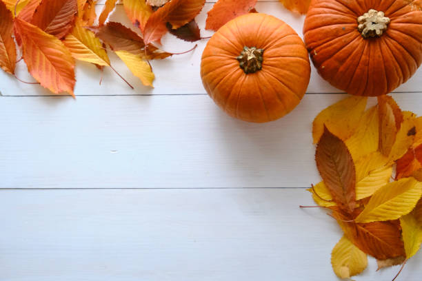 istock Autumn composition. Pumpkins, fall leaves on white background. Top view 1342494189