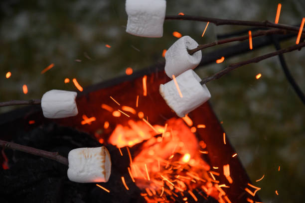 pieczenie pianki marshmallow na ogniu wieczorem. - house burning color image danger zdjęcia i obrazy z banku zdjęć