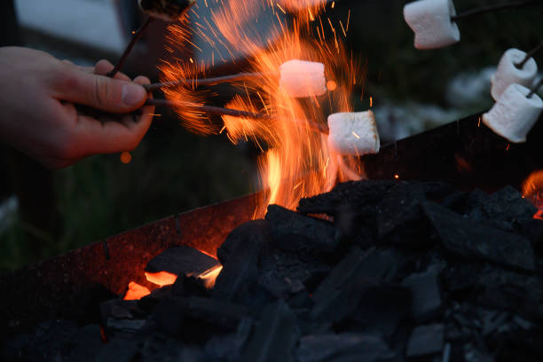istock Roasting marshmallow on a fire at the evening. 1342494202