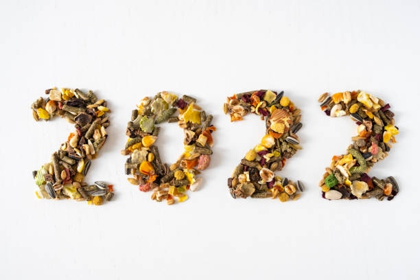 istock 2022 Rodent food 1342497472