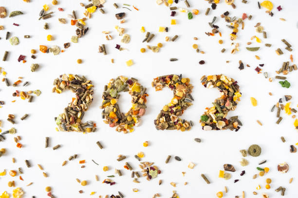 istock 2022 Rodent food 1342497578
